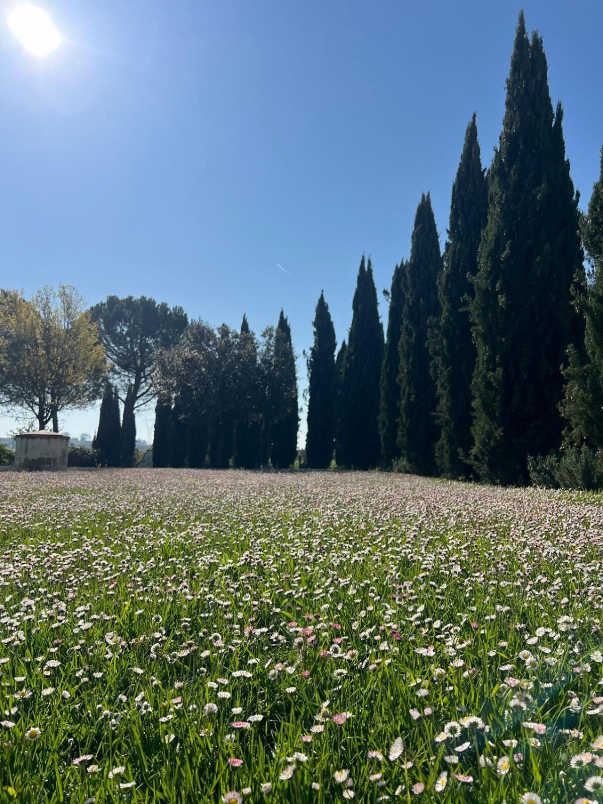 Villa Bellora Cortona Exteriér fotografie
